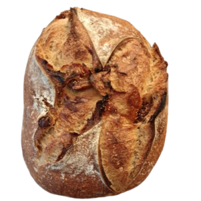 CAMPAGNE AUX FIGUES NOISETTES